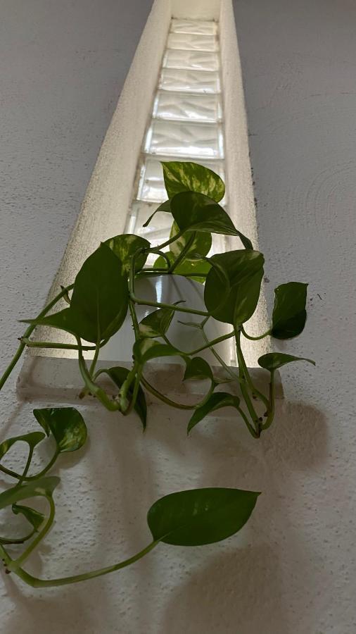Locanda Le Ginestre Cantalupo in Sabina Экстерьер фото